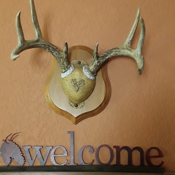 🎣 White Cap PERCH POUDER 5th Annual SPORTS 🧢BASEBALL CAP Black Unisex OS - Picture 6 of 16